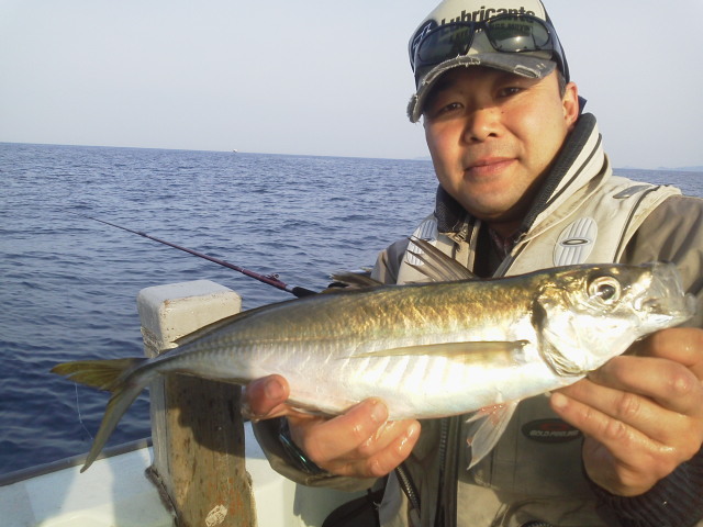 船釣り初心者でも釣りやすい魚アジ