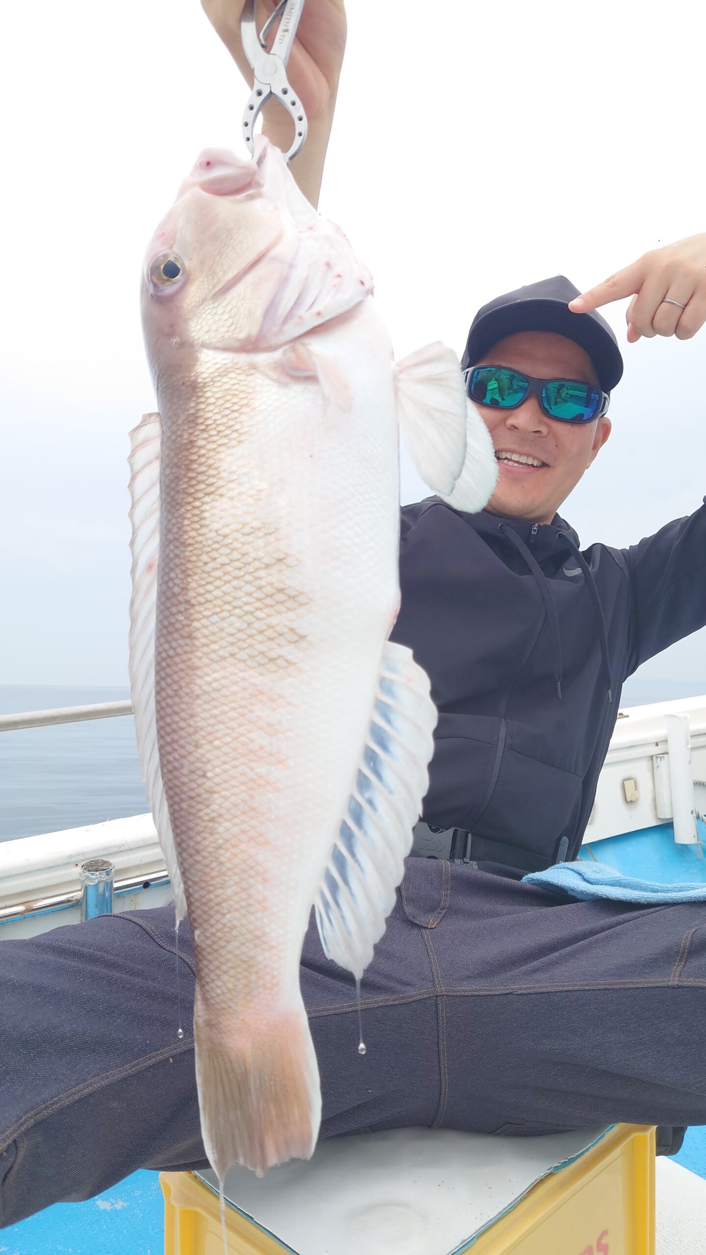 白アマダイ 船釣り 高級魚
