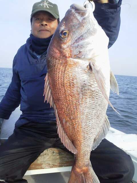 船釣りで釣れた真鯛の実釣写真