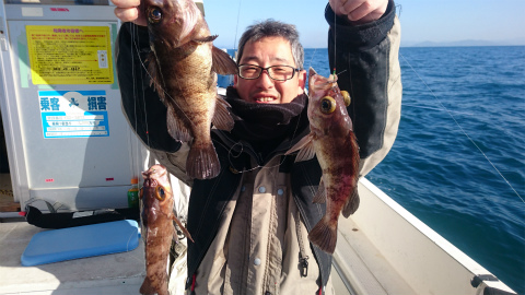 遊漁船「飛翔」でサビキ仕掛けに3匹のメバルが掛かった船上の釣果写真
