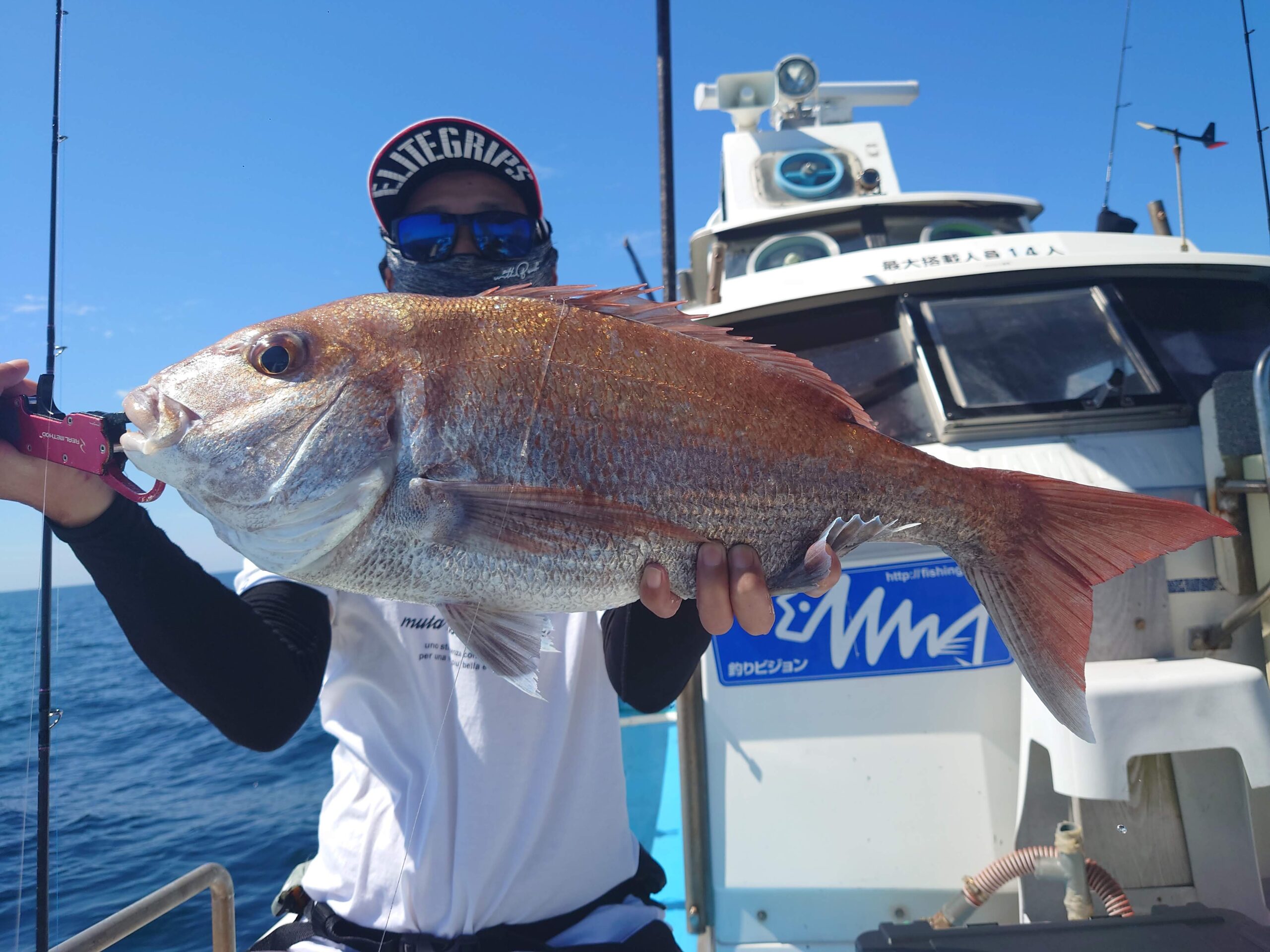 遊漁船での真ダイの釣果写真