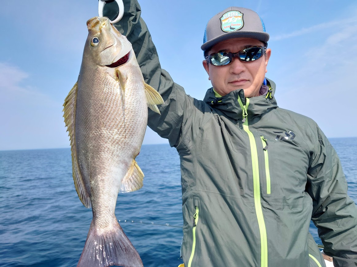 イサキの豊後水道での釣果写真