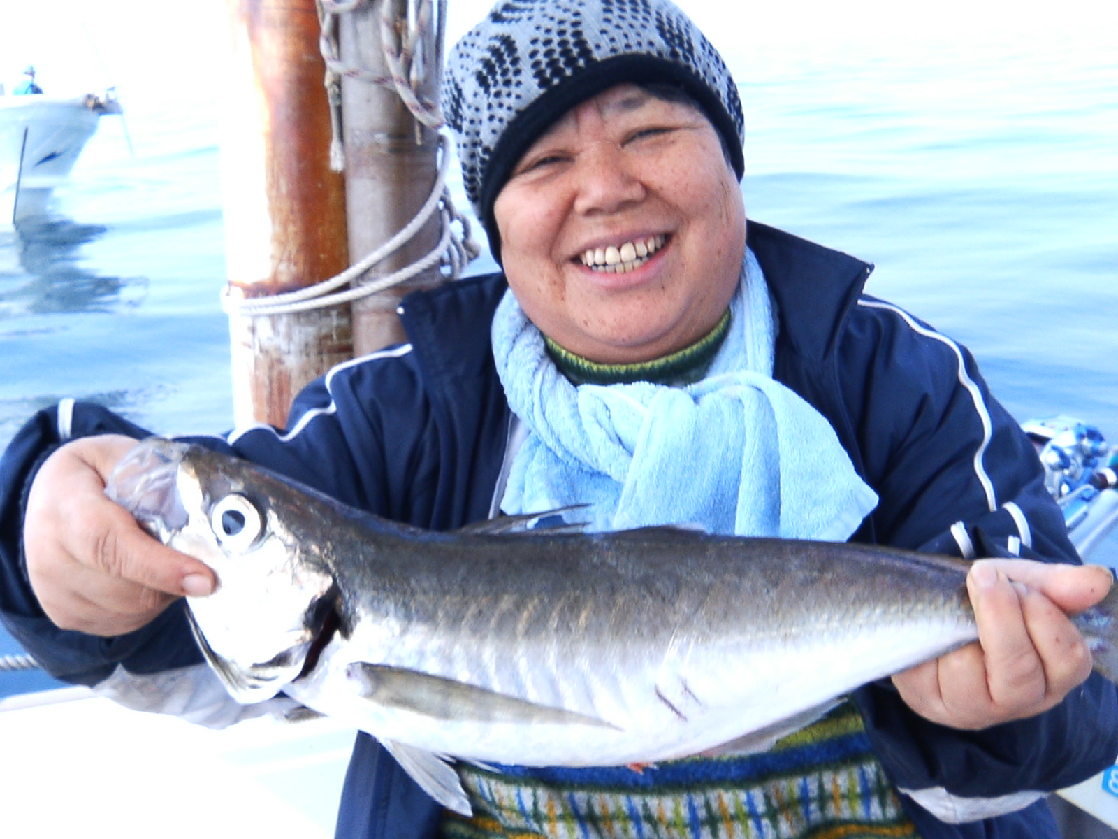 アジ、遊漁船の釣果