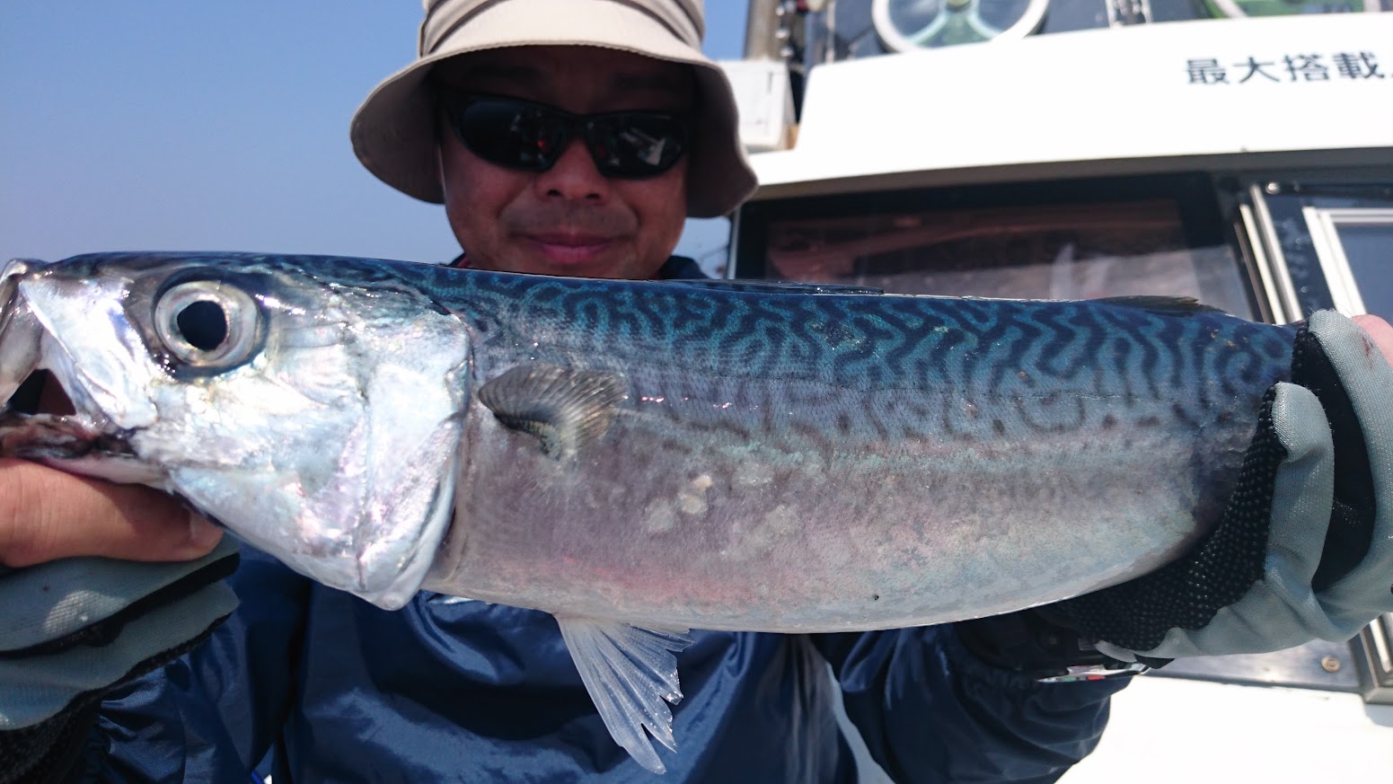 平郡島沖の漁礁で遊漁船から釣れたサバの実釣写真