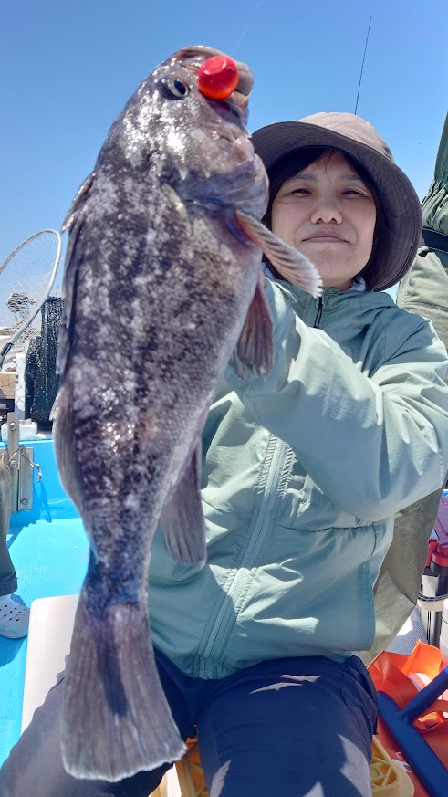 ソイ・遊漁船での釣果